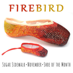 firebird pointe shoe