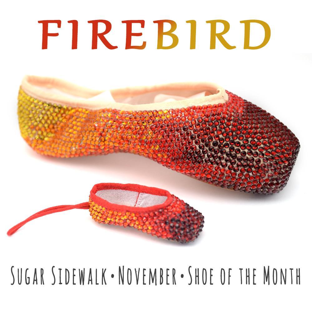 Crystallized Pointe Shoes • Your Pointe Shoes covered with Swarovski™ Crystals